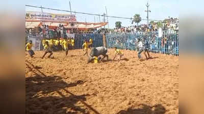 விருதுநகர் ஜல்லிக்கட்டில் மல்லுக்கட்டிய வீரர்கள் - சீறிப்பாய்ந்த கொம்புவச்ச சிங்கங்கள்