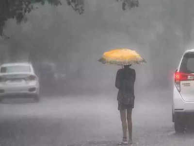 Monsoon: গরম থেকে মুক্তি! অবশেষে বর্ষা এল দেশে