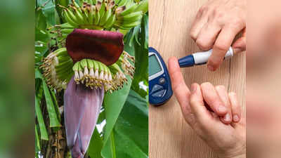 Banana flower for Diabetes: डायबिटीज का तगड़ा इलाज है केले का फूल, तेजी से कम करता है Blood Sugar