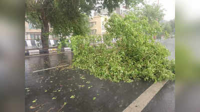 Weather Update: दिल्ली-NCR में तेज आंधी के साथ बारिश... कई जगह गिरे पेड़, यातायात बाधित, देखें वीडियो