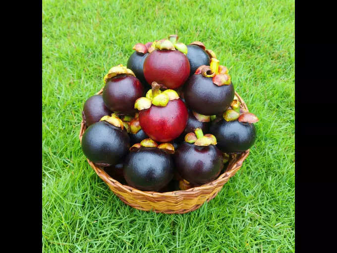 మంగోస్టీన్ (Mangosteen) పండ్లు