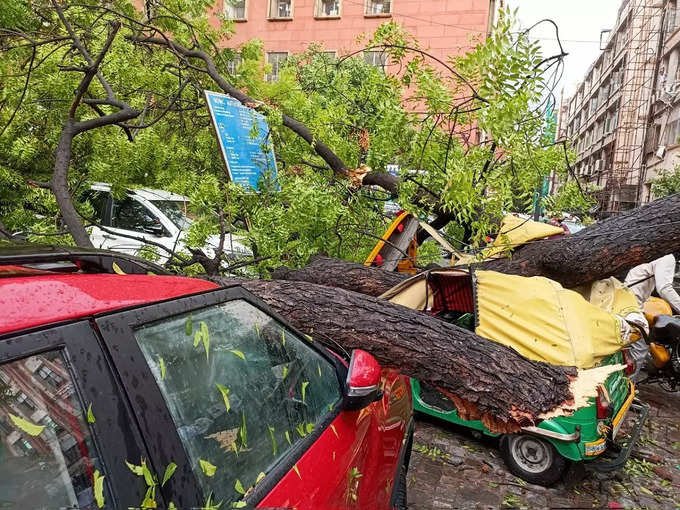 तेज हवा और आंधी के चलते कई पेड़ क्षतिग्रस्त हुए तो वहीं कुछ जगह पेड़ कार और ऑटो पर गिर पड़े जिसके चलते काफी नुकसान हुआ