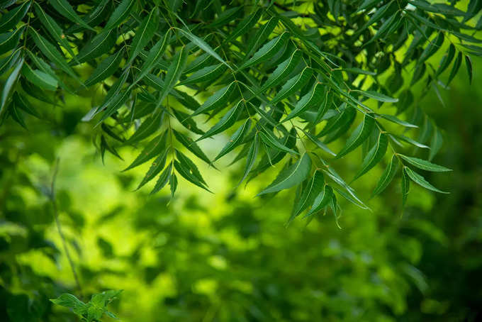 ​ত্বকের সমস্যা দূর করতে