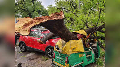 Delhi Strom: तूफान में उड़ी दिल्ली, सैकड़ों पेड़ गिरे, जामा मस्जिद का गुंबद गिरा, बालकनी गिरने से शख्स की मौत