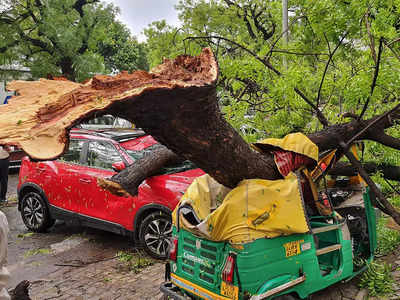 Delhi Strom: तूफान में उड़ी दिल्ली, सैकड़ों पेड़ गिरे, जामा मस्जिद का गुंबद गिरा, बालकनी गिरने से शख्स की मौत