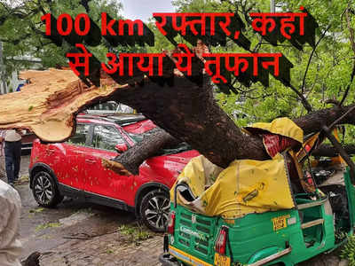 Delhi Storm : 1 घंटे में 170 पेड़ उखड़ गए, कई AC उड़ गए... दिल्ली से नोएडा तक यह 100 की रफ्तार वाली हवा आई कहां से!