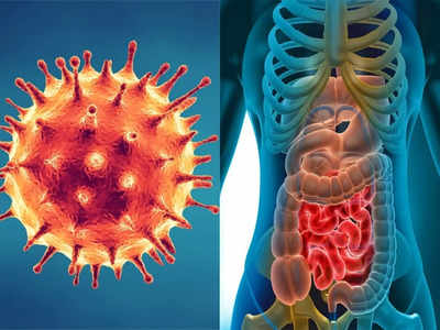 Covid weird symptoms: सेहत बिगाड़ने में कोई कसर नहीं छोड़ रहा कोरोना, पेट के इन 5 लक्षणों को न करें नजरअंदाज