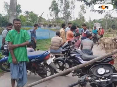 Power Cut: ৪৮ ঘণ্টা বিদ্যুৎহীন! গরমে নাজেহাল হয়ে পথ অবরোধ পাথরপ্রতিমায়