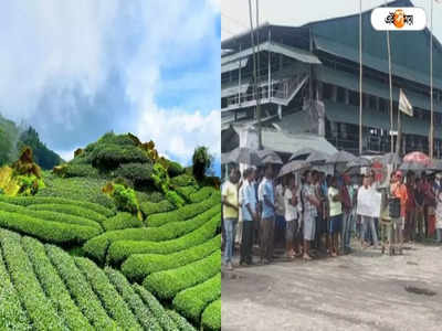 বেতন বৃদ্ধি সহ একাধিক দাবির জের, Dooars-এর চা বাগানগুলিতে ৩ দিনের কর্মবিরতি শুরু কর্মীদের