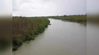 South 24 Parganas News: প্রেমের টানে নদী সাঁতরে, বাঘের ভয় উপেক্ষা করে এপার বাংলায় এলেন তরুণী