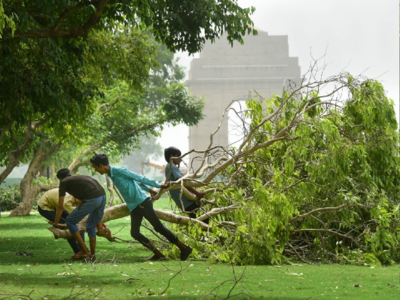 दिल्ली : आंधी-तूफान के साइड इफेक्ट, साइंटिफिक तरीके से पेड़ों के काट-छांट के दिए निर्देश
