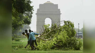 Delhi Storm and Rain: दिल्ली में आंधी-तूफान से इतने पेड़ टूटे कि गिनना हुआ मुश्किल, इन 3 कारणों से हुआ आंधी में पेड़ों को ज्यादा नुकसान