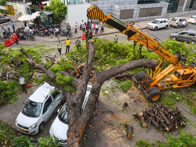 पेड़ों के नुकसान का हिसाब लगाने में जुटीं एजेंसियां