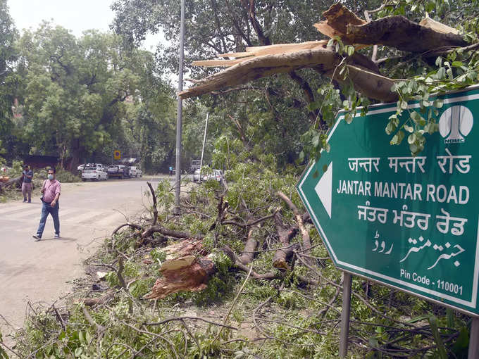​नई दिल्ली के दक्षिणी हिस्से में 7 और उत्तरी हिस्से में 70 से ज्यादा पेड़ टूटे