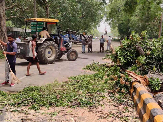 लुटियंस दिल्ली में VIP बंगलों में भी गिरे पेड़