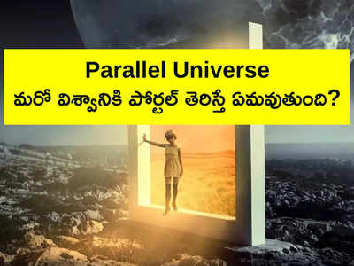 Parallel Universe: మరో విశ్వానికి పోర్టల్ తెరిస్తే ఏమవుతుంది?