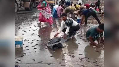 রাস্তায় মৎস্য বৃষ্টি! বালতি-বস্তা নিয়ে হাজির জনতা! দেখুন ভাইরাল ভিডিয়ো