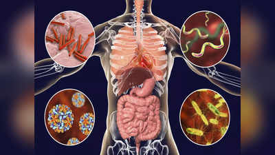 COVID serious symptoms: घातक हुआ कोरोना, फेफड़ों सहित 6 अंगों को कर रहा बुरी तरह डैमेज, इन 25 लक्षणों पर रखें नजर