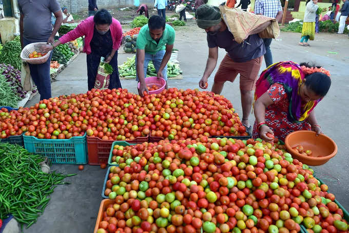 Retail prices of tomato skyrocket