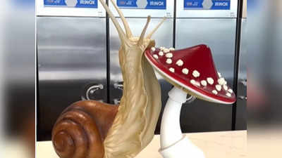 Chocolate Snail: ಚಾಕಲೇಟ್‌ನಿಂದಲೇ ಸಿದ್ಧವಾಯ್ತು ಬಸವನ ಹುಳು!: ಕಲಾ ಕೌಶಲ್ಯಕ್ಕೆ ಬೆರಗಾದ ನೆಟ್ಟಿಗರು
