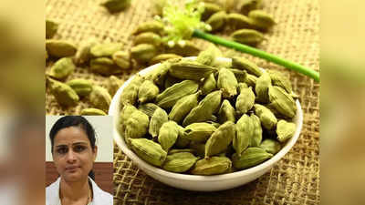 cardamom ayurveda : விடாத இருமலை குறைக்கும் ஏலக்காய்... எதற்கு எப்படி பயன்படுத்துவது.. நிபுணர் விளக்கம்!