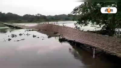 Jalpaiguri News: জলের স্রোতে ভেসে গেল সাঁকো, ফালাকাটায় বিচ্ছিন্ন যোগাযোগ ব্যবস্থা