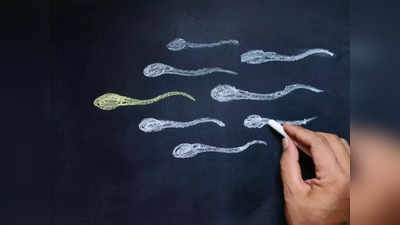 Male Fertility : फर्टिलिटी वाढवण्यासाठी पुरूषांनी डाएटमध्ये या ८ व्हिटामिन्सचा करा समावेश