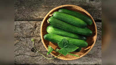 Cucumber in Summers: गर्मी में सुरक्षा कवच का काम करता है खीरा, खाने से पास भी नहीं भटकेंगी ये 7 खतरनाक बीमारी