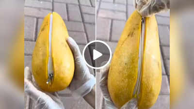 Shocking Video: आम है या पर्स? इस जुगाड़ को देखकर लोगों ने पकड़ लिया सिर
