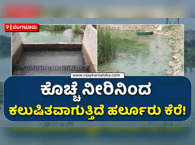 ಬೆಂಗಳೂರಿನ ಹರ್ಲೂರು ಕೆರೆಯ ಅಂದಗೆಡಿಸುತ್ತಿದೆ ಕೊಚ್ಚೆ ನೀರು: ಕೆರೆಯ ಒಡಲಿಗೆ ವಿಷ ಸೇರುತ್ತಿದ್ದರೂ ಅಧಿಕಾರಿಗಳ ಮೌನ ಏಕೆ?