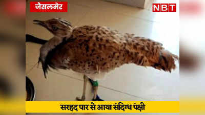सरहद पार से आया जासूस! बाड़मेर के बाद अब जैसलमेर में भी BSF ने पकड़ा संदिग्ध पक्षी