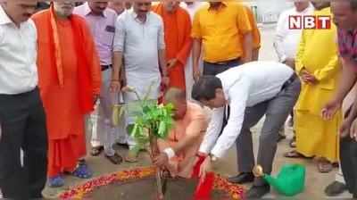 योगी आदित्यनाथ का 50वां जन्मदिन, गोरखनाथ मंदिर की गोशाला में सीएम ने लगाया पौधा