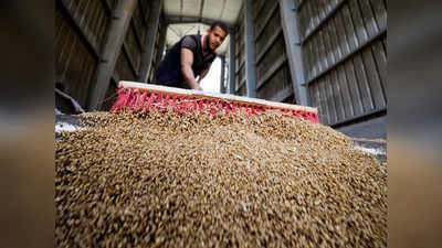 भारत के एक फैसले ने बढ़ा दिया रोटी का संकट, गेहूं के दामों में हुई रेकॉर्ड बढ़ोतरी