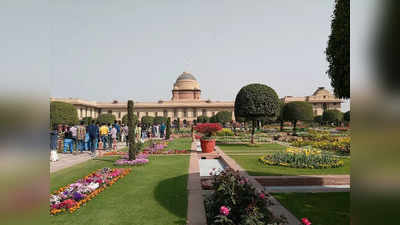 President House of India: राष्ट्रपति भवन न केवल बाहर से बल्कि अंदर से भी है देखने में बेहद खूबसूरत