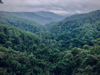 അതിസാഹസികരെ കാത്തിരിക്കുന്ന അതിനിഗൂഢമായ ആമസോണ്‍ മഴക്കാടുകള്‍!