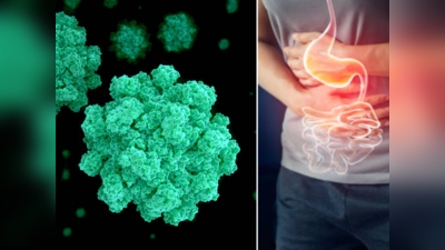 Norovirus Symptoms: केरल के लोगों पर मंडरा रहा इस खतरनाक वायरस का साया, 12 घंटे के भीतर दिखते हैं ये 7 लक्षण
