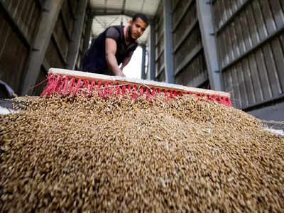 Wheat Prices: ভারতের গম রফতানিতে নিষেধাজ্ঞা! লাফিয়ে বাড়ল দাম