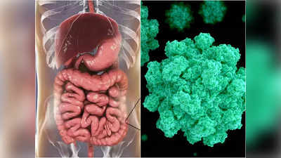 Covid Symptoms : आठवडा किंवा दहा दिवस नाही तर चक्क २ वर्ष राहतात कोरोनाची ही ५ लक्षणे, अर्धवट उपचार जीवावर बेतेल