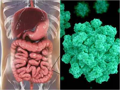 Covid Symptoms : आठवडा किंवा दहा दिवस नाही तर चक्क २ वर्ष राहतात कोरोनाची ही ५ लक्षणे, अर्धवट उपचार जीवावर बेतेल