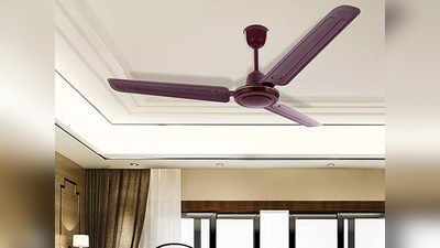 इस समर सीजन धड़ल्ले से बिक रहे हैं ये बजट वाले Ceiling Fan, इनकी कीमत कर देगी हैरान