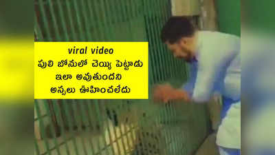 viral video: పులి బోనులో చెయ్యి పెట్టాడు.. ఇలా అవుతుందని అస్సలు ఊహించలేదు 