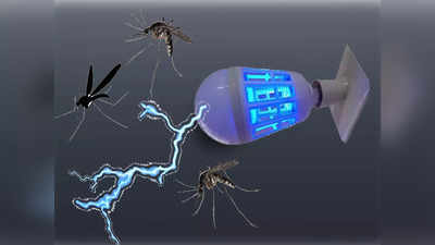 चुंबक की तरह खिंचे आते हैं मच्छर, बल्ब देता है बिजली का झटका, सेकेंड में होता है सफाया