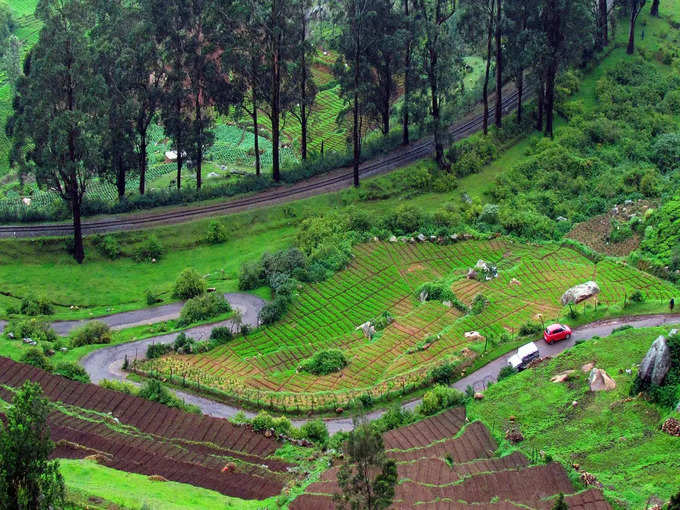 ​উটি-র শ্যুটিং স্পট ও গোলাপ বাগান