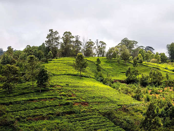 ​ডোড্ডাবেটা শৃঙ্গ