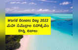 World Oceans Day 2022: మహా సముద్రాల దినోత్సవం.. కొన్ని నిజాలు