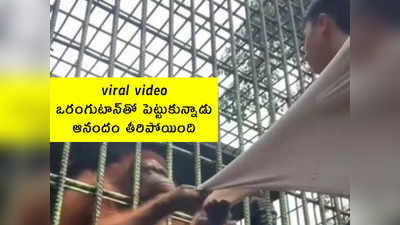viral video: ఒరంగుటాన్‌‌తో పెట్టుకున్నాడు.. ఆనందం తీరిపోయింది
