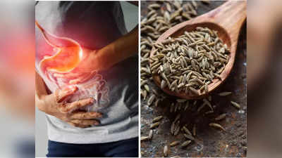 Home remedies Cumin: पेट फूला रहता है, खुलकर डकार नहीं आती? Ayurveda ने बताया ऐसे खाएं जीरा, तुरंत होगी 4 रोगों की छुट्टी