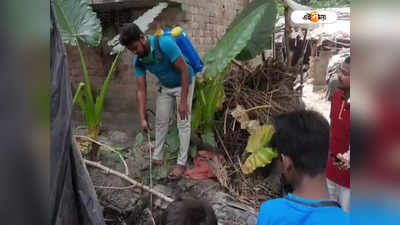 Dengue: বর্ষার আগেই ভাঙড়ে বাড়ছে ডেঙ্গু! তৎপর প্রশাসন