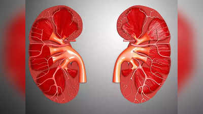 kidney health: உங்க சிறுநீரகம் ரொம்ப வருஷத்துக்கு ஆரோக்கியமா இருக்க செய்ய வேண்டிய 7 விஷயங்கள் இதுதான்...