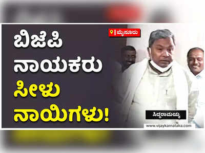 ಬಿಜೆಪಿ ನಾಯಕರು ಸೀಳು ನಾಯಿಗಳ ರೀತಿ! ನಾನು ಒಬ್ಬ ಮಾತನಾಡಿದರೆ 25 ಜನ ಮುಗಿಬೀಳುತ್ತಾರೆ: ಸಿದ್ದರಾಮಯ್ಯ